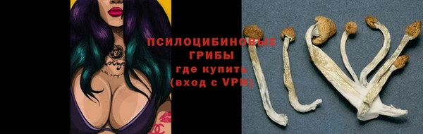 дмт Волоколамск