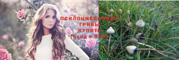 ECSTASY Волосово