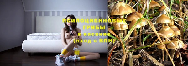 ECSTASY Волосово