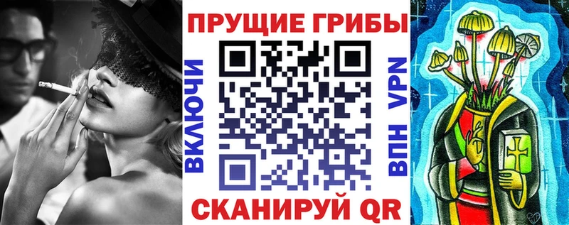 наркота Новая Усмань omg онион Псилоцибиновые грибы Magic Shrooms